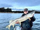 kvetnova petadevadesatka z reviru Nordqvist na souostrovi Aland