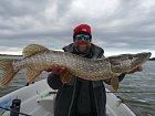 stika delky 84 cm ulovena v reviru Nordqvist na souostrovi Aland