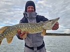 stika 85 cm z reviru Nordqvist na souostrovi Aland