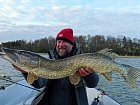 stika 97 cm ulovena na bilostribrny KiXter 16 cm