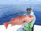 snapper uloveny na jig, duben na poloostrove Nicoya