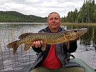 stika z Helesjo, zacatek cervna