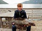 Halibut