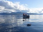 odpoledni rybareni v Andfjordu u Elgsnes 15.zari