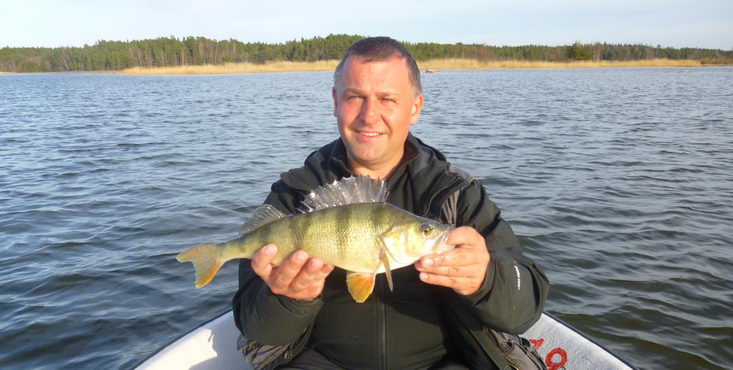 okoun 42 cm, Nordqvist, 8. kveten okoun 42 cm, Nordqvist, 8. kveten