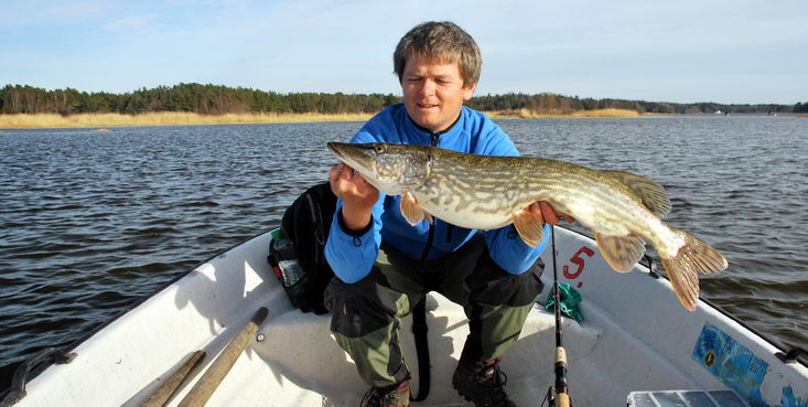 stika 80 cm, Nordqvist, 8. kveten stika 80 cm, Nordqvist, 8. kveten