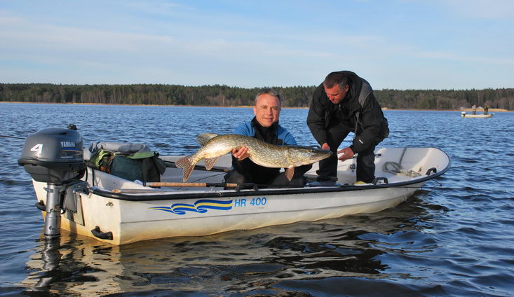 stika 106 cm, Nordqvist, 8. kveten stika 106 cm, Nordqvist, 8. kveten