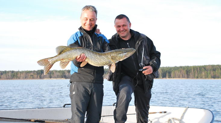 stika 106 cm, Nordqvist, 8. kveten stika 106 cm, Nordqvist, 8. kveten