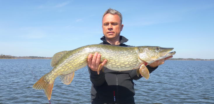stika 96 cm, Nordqvist, 8. kveten stika 96 cm, Nordqvist, 8. kveten