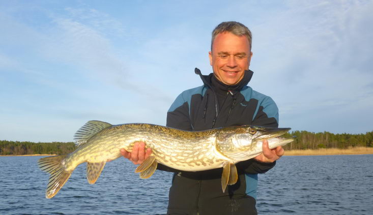 stika 99 cm, Nordqvist, 8. kveten stika 99 cm, Nordqvist, 8. kveten