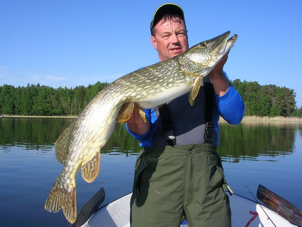stika 106 cm, Nordqvist 27.5. stika 106 cm, Nordqvist 27.5.