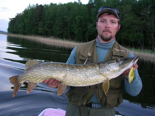 stika 96 cm, Nordqvist 30.5. stika 96 cm, Nordqvist 30.5.