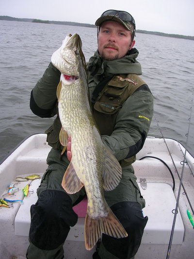 stika 95 cm, Nordqvist 26.5. stika 95 cm, Nordqvist 26.5.