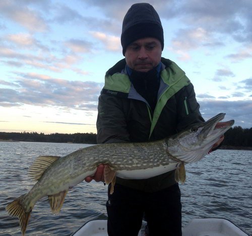 stika 93 cm, 30. dubna vecer stika 93 cm, 30. dubna vecer