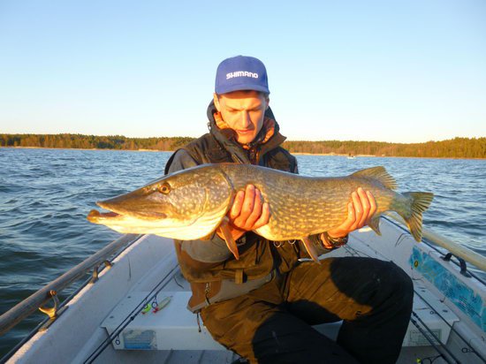 stika 106 cm, kveten v Nordqvist stika 106 cm, kveten v Nordqvist