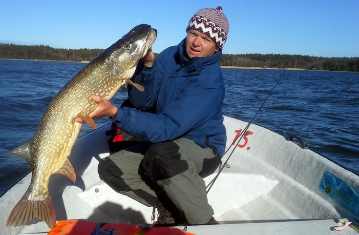 stika 101 cm, kveten v Nordqvist stika 101 cm, kveten v Nordqvist