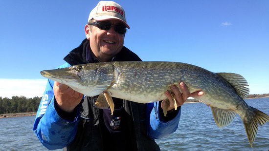 stika 94 cm, kveten v Nordqvist stika 94 cm, kveten v Nordqvist