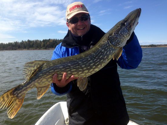 stika 96 cm, kveten v Nordqvist stika 96 cm, kveten v Nordqvist