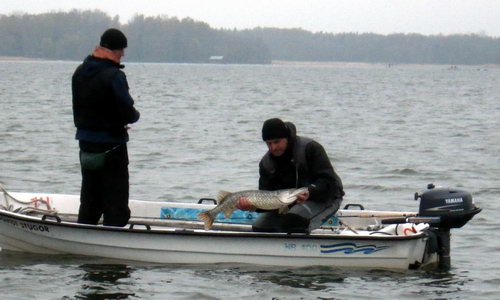 stika 94 cm, destivy kvetnovy den v Nordqvist stika 94 cm, destivy kvetnovy den v Nordqvist