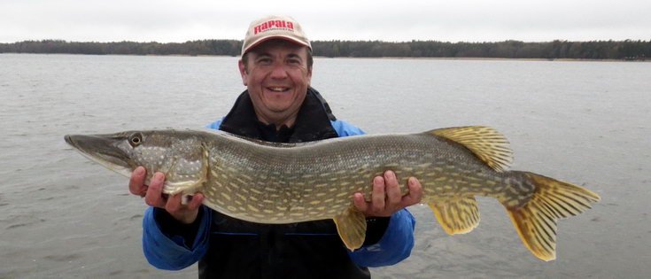 stika 94 cm - destivy kvetnovy vecer v Nordqvist stika 94 cm - destivy kvetnovy vecer v Nordqvist