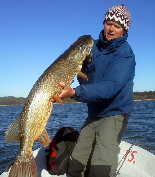 stika 101 cm, kveten v Nordqvist stika 101 cm, kveten v Nordqvist
