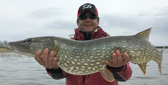 Nordqvist 4.5. - 98 cm Nordqvist 4.5. - 98 cm
