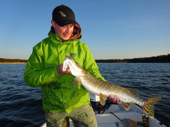 stika 85 cm ulovena na plandavku stika 85 cm ulovena na plandavku