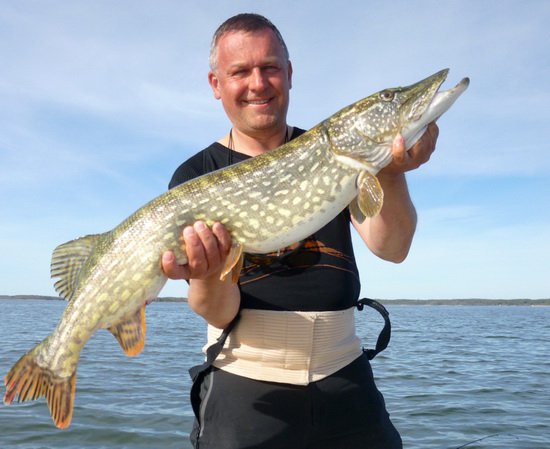 stika 95 cm, Nordqvist v kvetnu