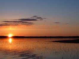 Aland - vecerni rybolov Aland - vecerni rybolov