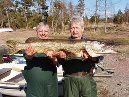 kveten 2005, stika 110 cm kveten 2005, stika 110 cm