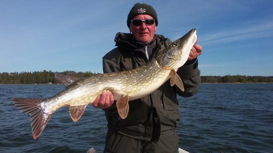 Stika 96 cm Stika 96 cm