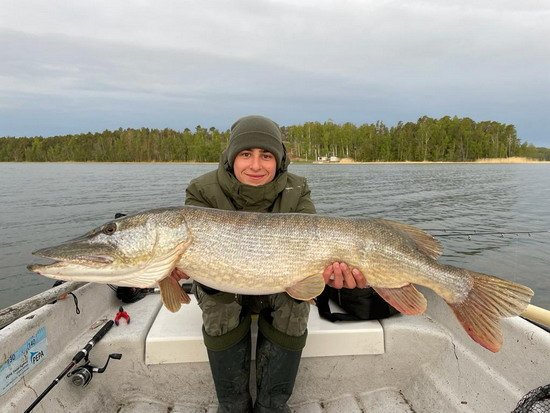 Štika 105 cm z revíru Nordqvist