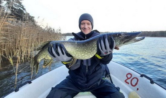 listopadova devadesatka z Nordqvist listopadova devadesatka z Nordqvist