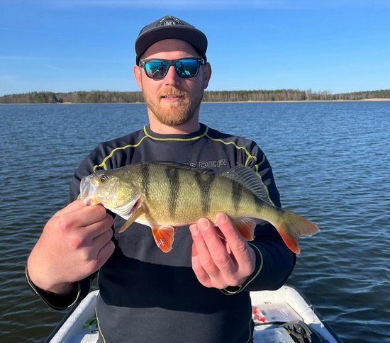 kvetnovy okoun z Nordqvist kvetnovy okoun z Nordqvist