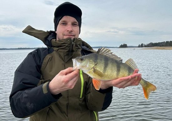 dubnovy okoun z Nordqvist dubnovy okoun z Nordqvist