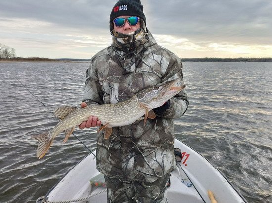 Štika cca 70 cm z Nordqvist Štika cca 70 cm z Nordqvist