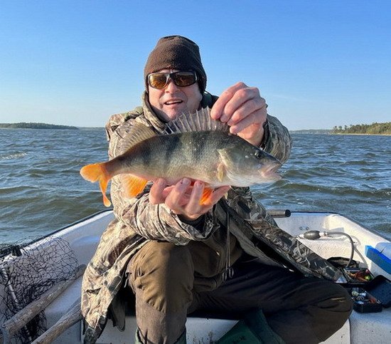 Okoun z revíru Nordqvist Okoun z revíru Nordqvist