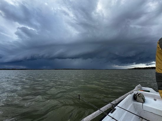 kvetnova bourka nad revirem Nordqvist kvetnova bourka nad revirem Nordqvist
