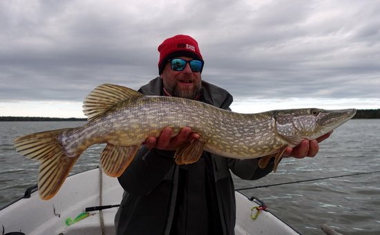 kvetnova stika 84 cm z reviru Nordqvist kvetnova stika 84 cm z reviru Nordqvist