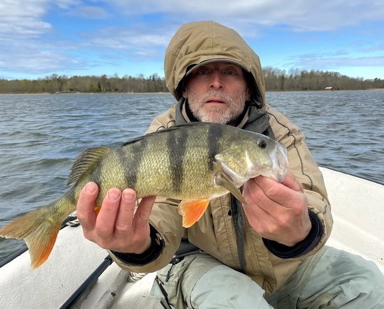 kvetnovy okoun 41 cm z reviru Nordqvist kvetnovy okoun 41 cm z reviru Nordqvist