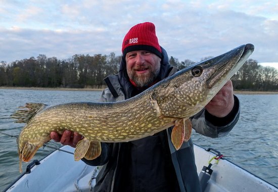 stika 97 cm ulovena na bilostribrny KiXter 16 cm stika 97 cm ulovena na bilostribrny KiXter 16 cm