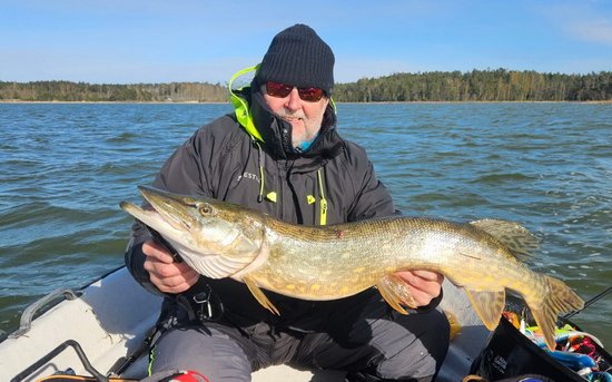 stika 94 cm ulovena na bigbait (velky twister) stika 94 cm ulovena na bigbait (velky twister)