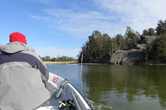 zacatek kvetna v reviru Nordqvist na souostrovi Aland zacatek kvetna v reviru Nordqvist na souostrovi Aland