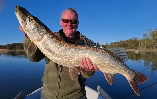 kvetnova stika 94 cm z Nordqvist kvetnova stika 94 cm z Nordqvist