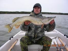 stika 93 cm, kveten 2006 stika 93 cm, kveten 2006