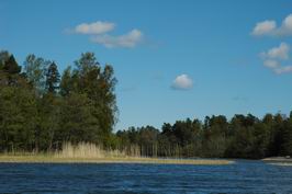 Nordqvist - priroda v okoli