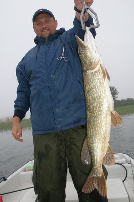stika 93 cm stika 93 cm