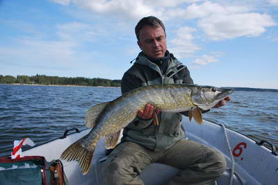 stika 90 cm stika 90 cm