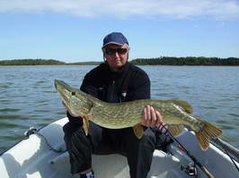 stika 94 cm stika 94 cm