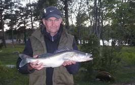 candat 64 cm, Nordqvist, cerven candat 64 cm, Nordqvist, cerven